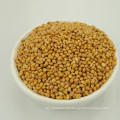 Tipos diferentes de Broom Corn Millet Hulled para venda